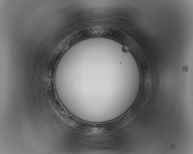 X0000111630737200907311227