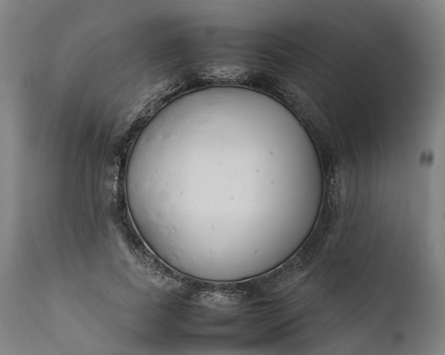 X0000111630739200907311227