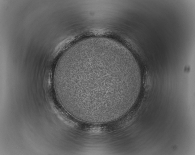 X0000111630740200907311227