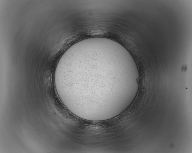 X0000111630743200907311227