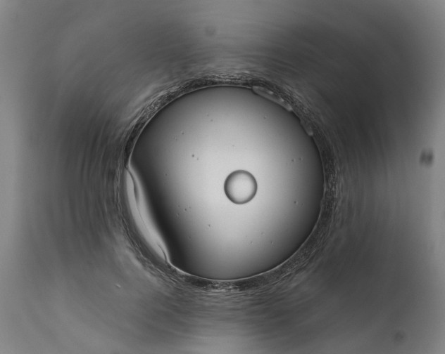 X0000111630744200907311227