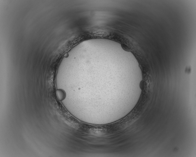 X0000111630745200907311227