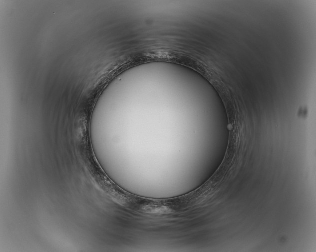 X0000111630747200907311227