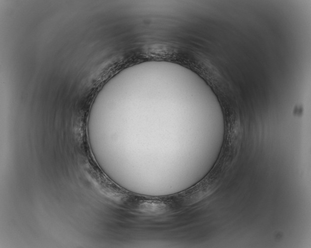 X0000111630749200907311227