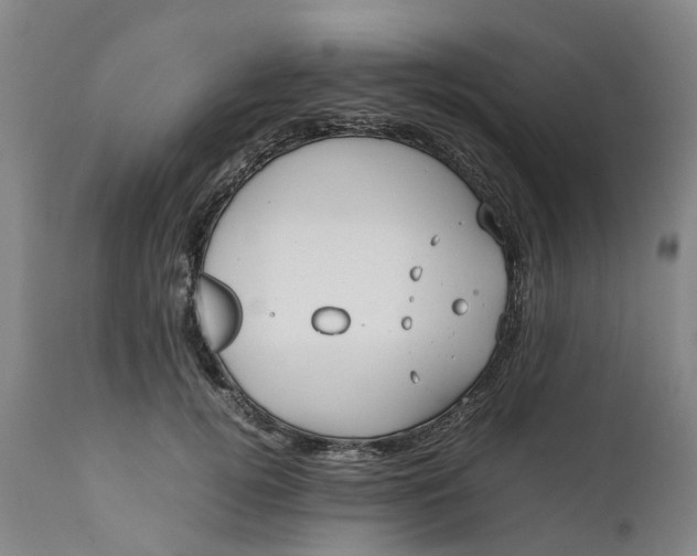 X0000111630752200907311227