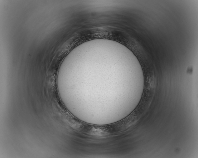 X0000111630753200907311227