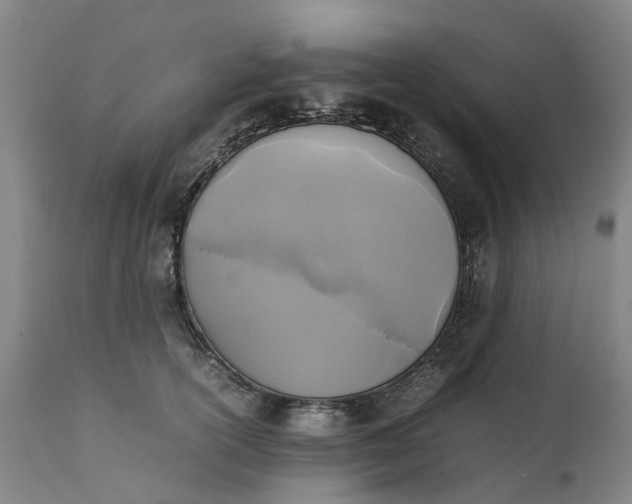 X0000111630754200907311227