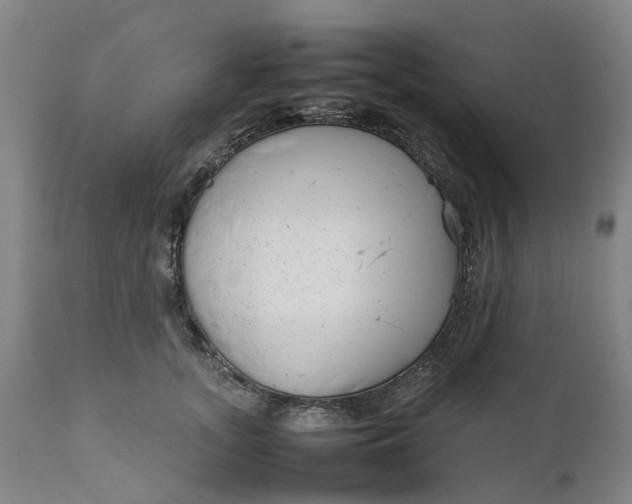 X0000111630755200907311227