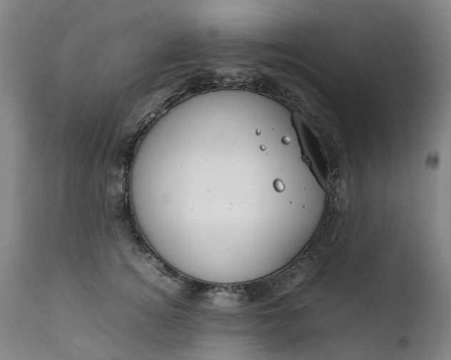 X0000111630756200907311227