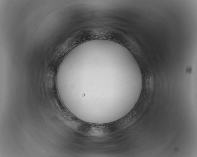 X0000111630757200907311227