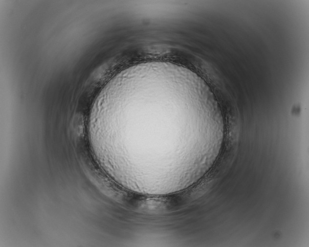 X0000111630758200907311227