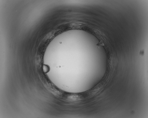 X0000111630759200907311227