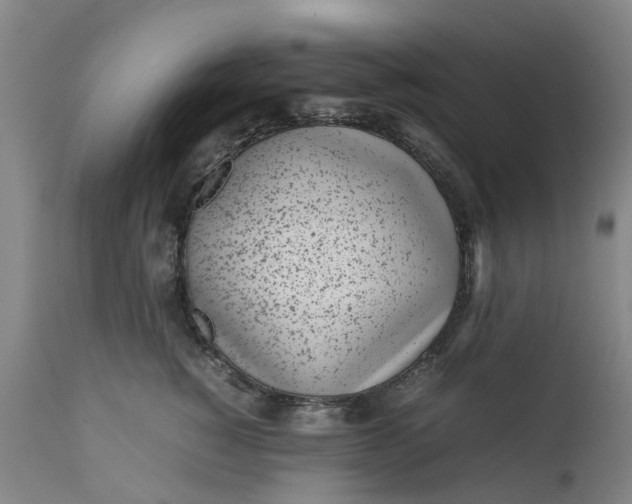 X0000111630760200907311227