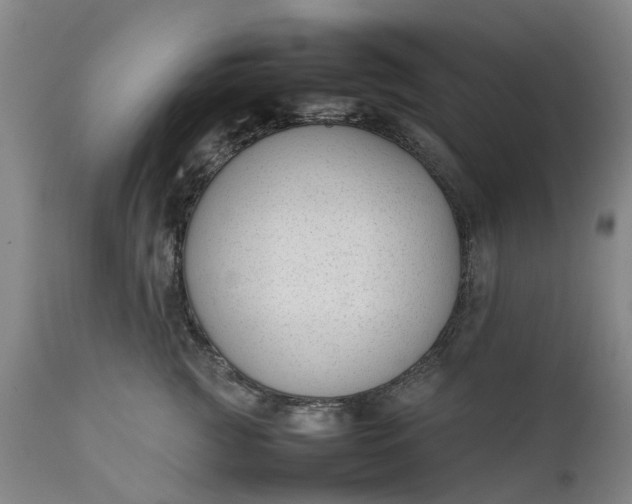 X0000111630761200907311227