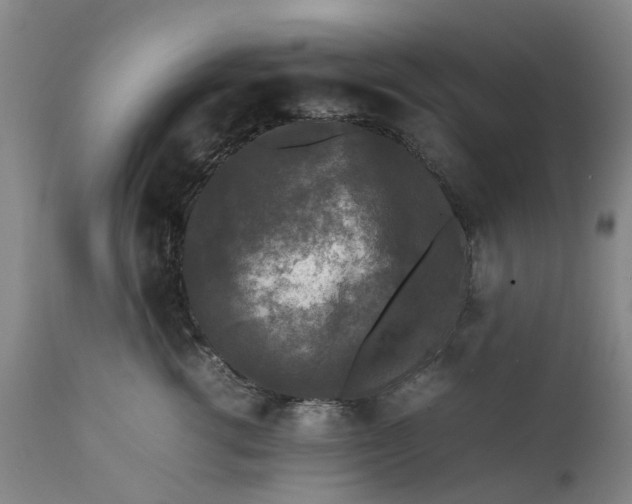 X0000111630762200907311227