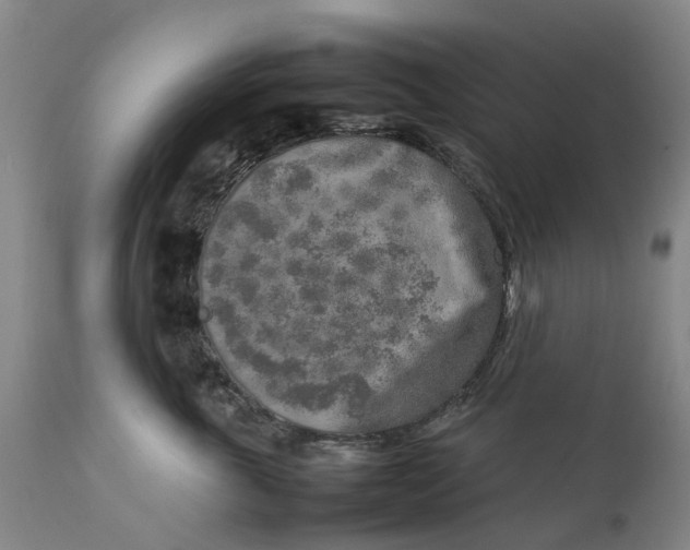 X0000111630763200907311227