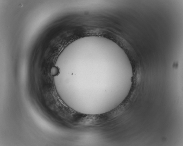 X0000111630764200907311227