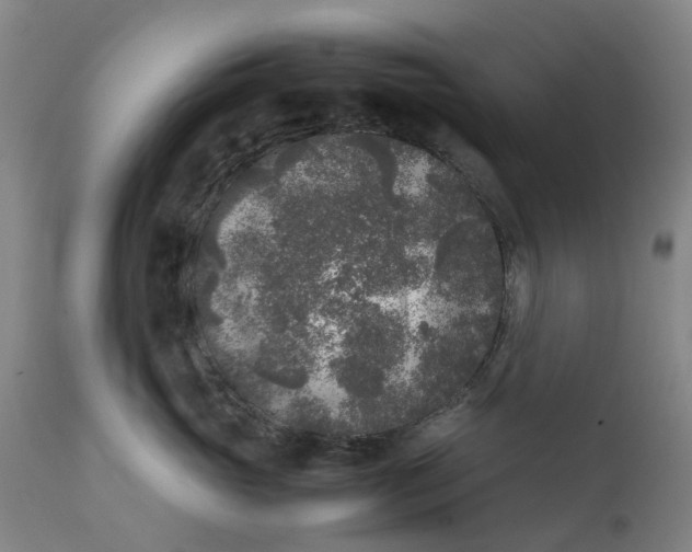 X0000111630765200907311227