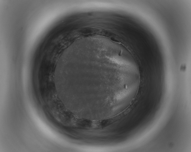 X0000111630766200907311227