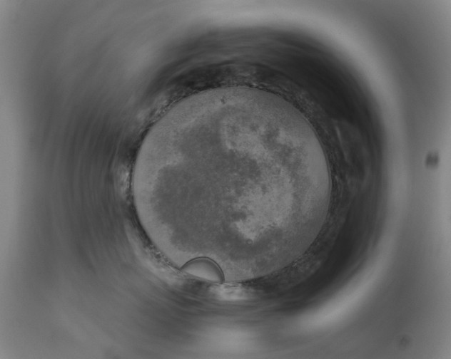 X0000111630767200907311227