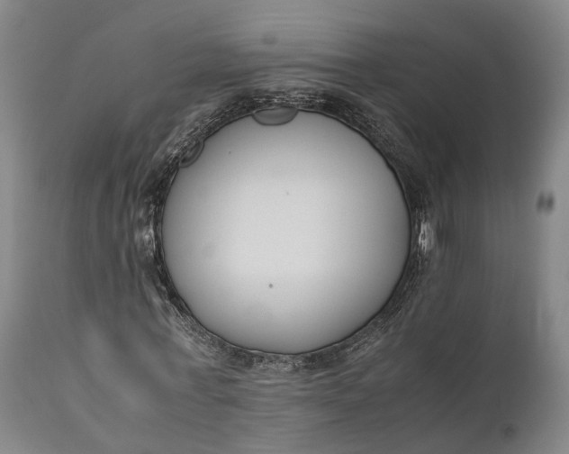 X0000111630771200907311226