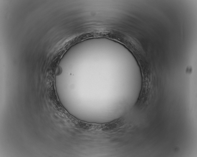 X0000111630773200907311226