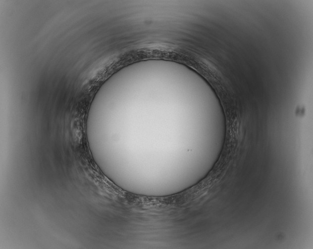 X0000111630774200907311226