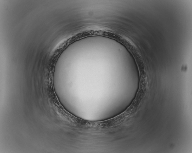 X0000111630775200907311226