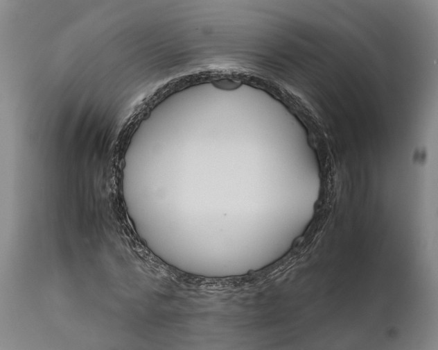 X0000111630776200907311226