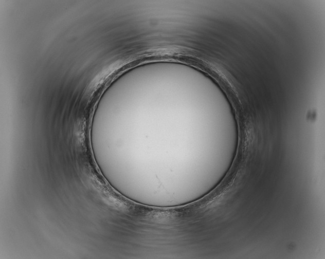 X0000111630778200907311226