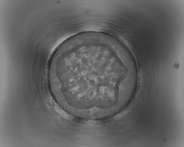 X0000111630779200907311226