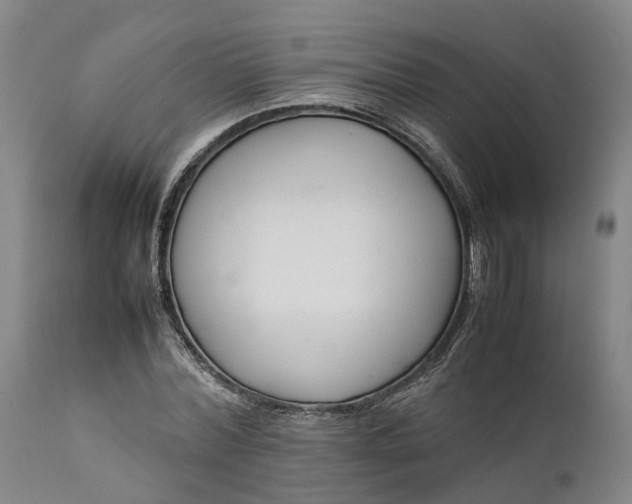 X0000111630780200907311226