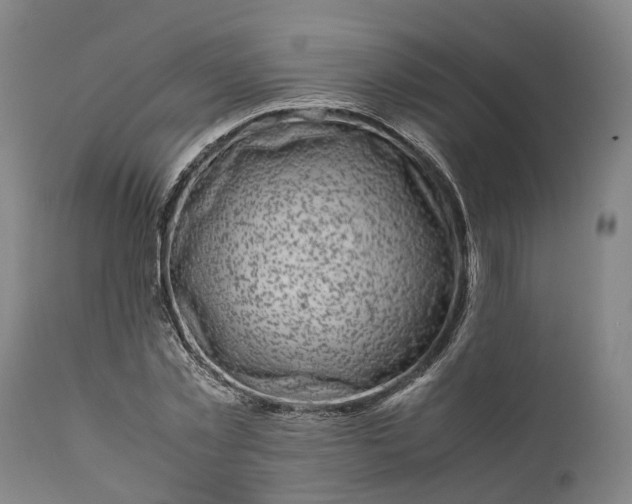 X0000111630781200907311226