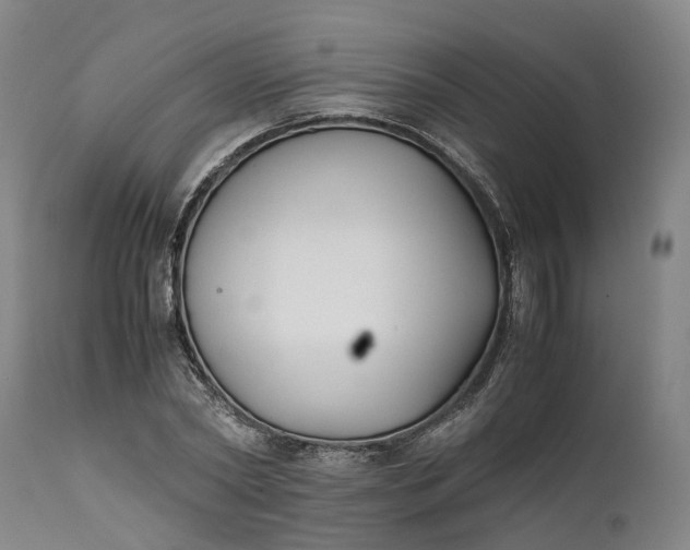 X0000111630782200907311226