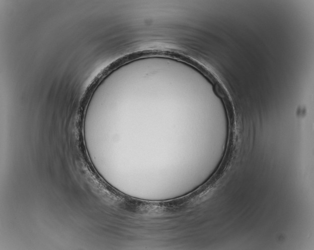 X0000111630783200907311226