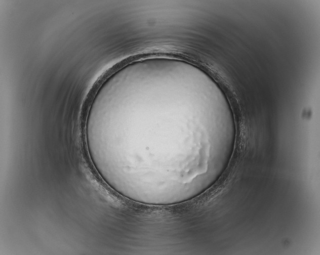 X0000111630784200907311226