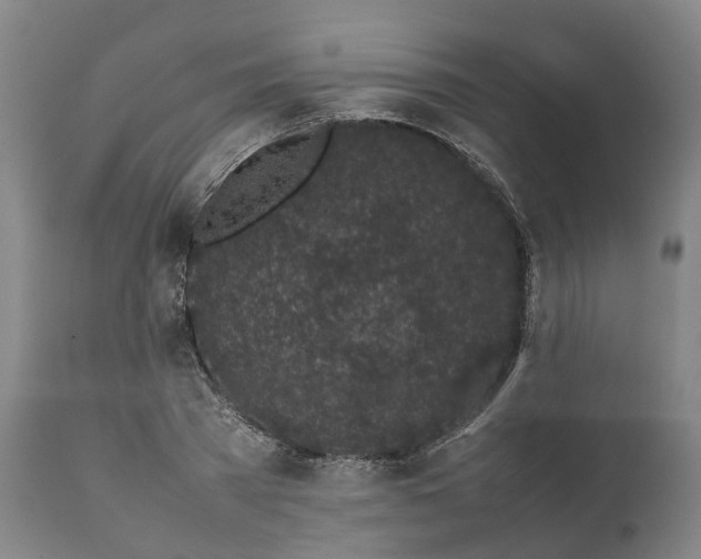 X0000111630785200907311226