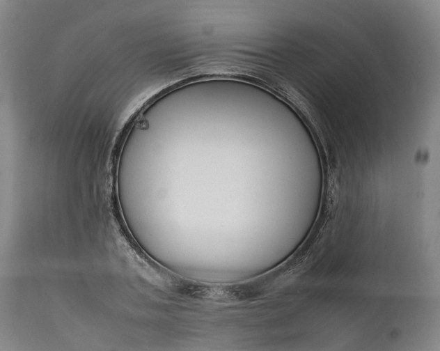 X0000111630787200907311226