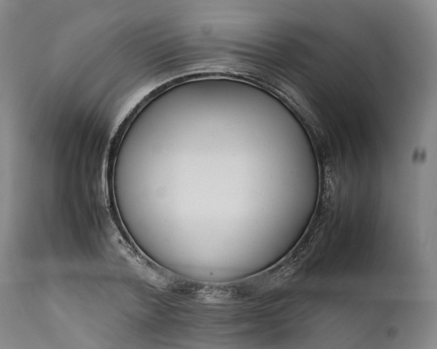 X0000111630788200907311226