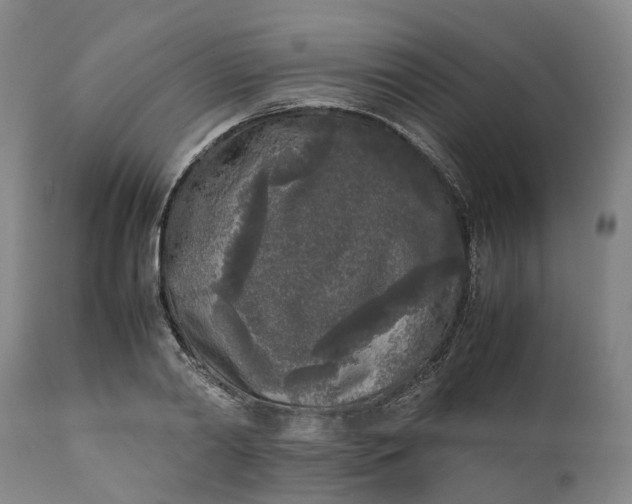 X0000111630790200907311226