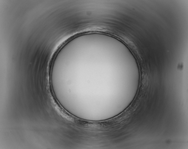 X0000111630792200907311226