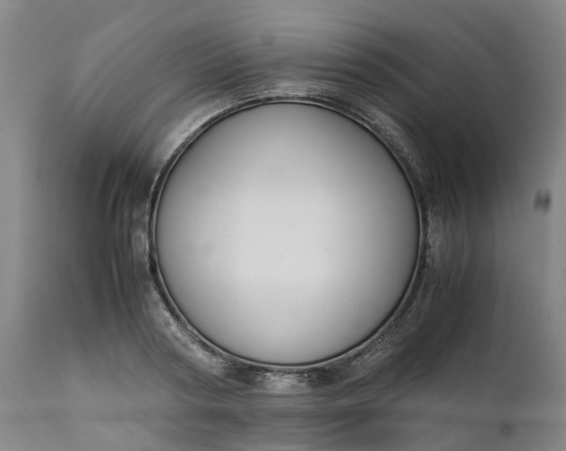 X0000111630794200907311226