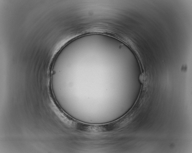 X0000111630795200907311226