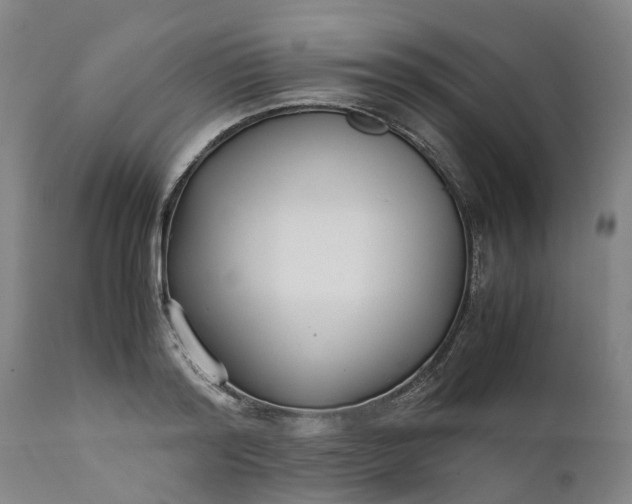 X0000111630796200907311226