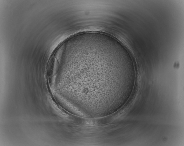 X0000111630797200907311226