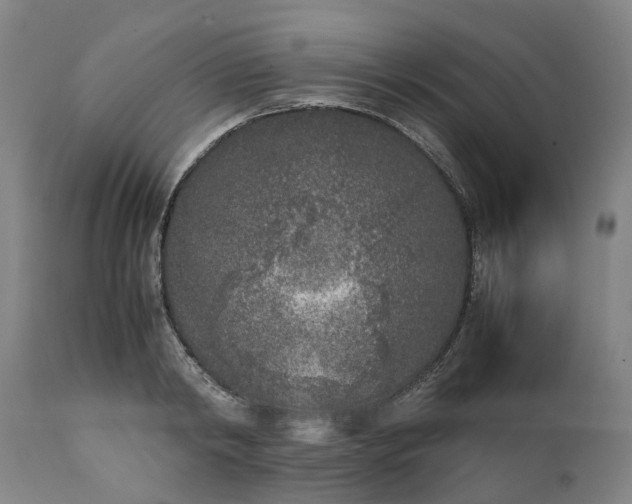 X0000111630798200907311226