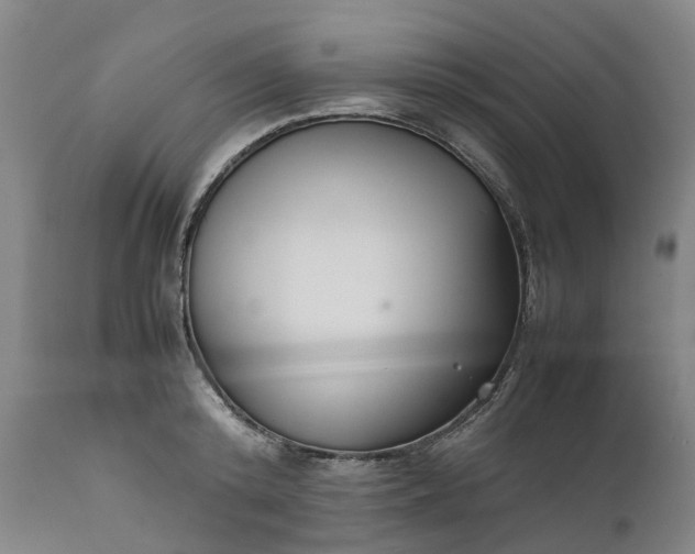 X0000111630800200907311226