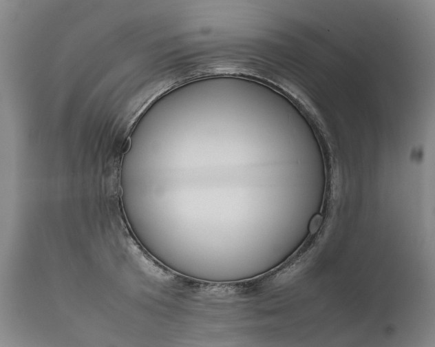 X0000111630801200907311226