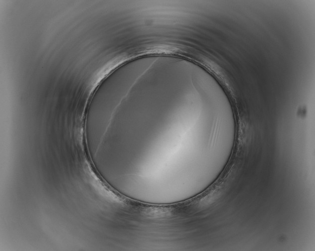 X0000111630802200907311226