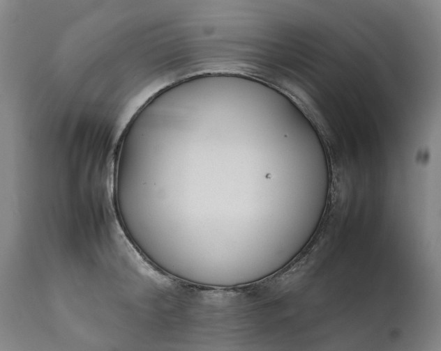 X0000111630804200907311226